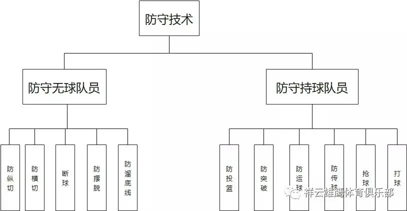 如何选择适合篮球康复训练的器材_1